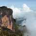 Venezuela, The Top of Roraima (2810m)