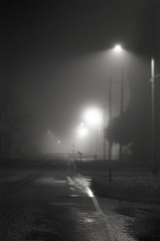 Misty Night