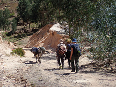 Rahya to Erar trek - Belinda, donkeymen and donkeys