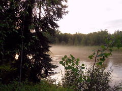 Mist on the river