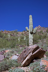 @ Piestewa Peak