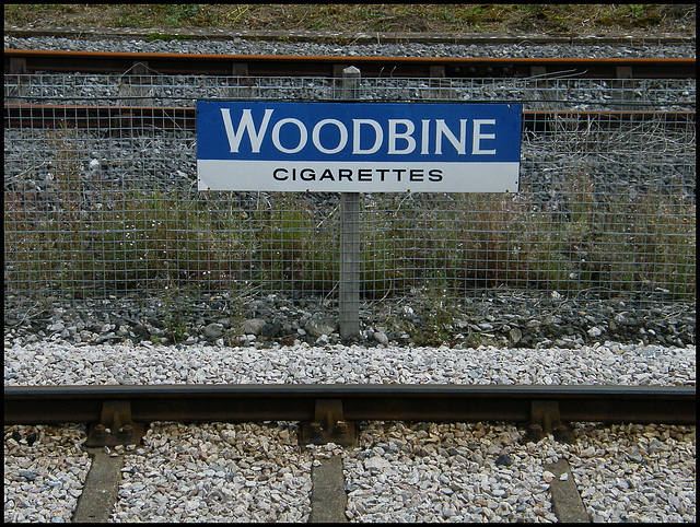 Woodbine cigarettes