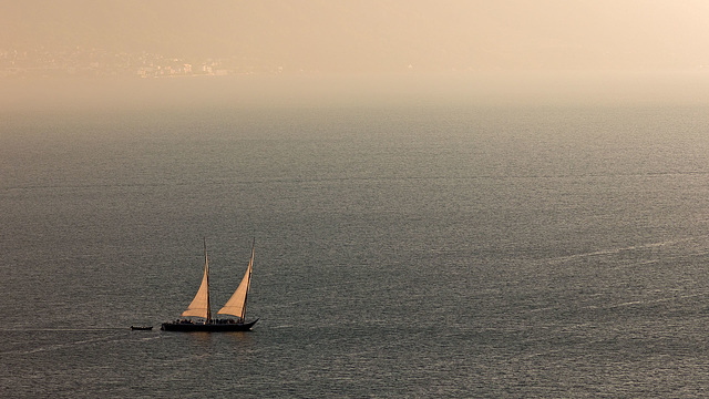 220819 barque Demoiselle Montreux 0