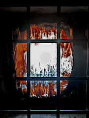 Window