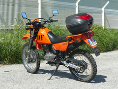 Suzuki DF XA 241-F - 19 April 2017