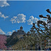 Castle of Cochem