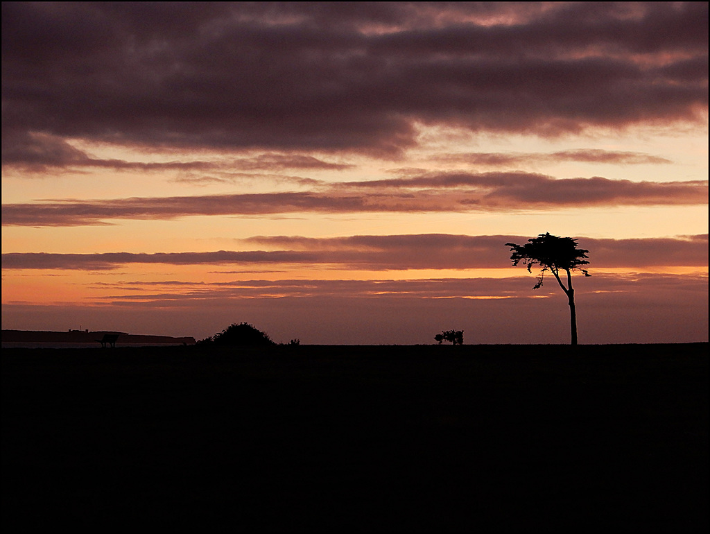 l'ile de GROIX à l'horizon au coucher du soleil