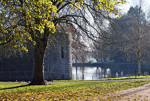 HFF from Wells, Somerset.