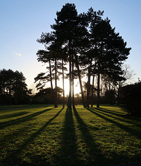 Cator Park, Boxing Day evening