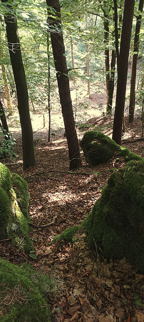 Fränkischer Gebirgsweg Betzenstein - Hormersdorf