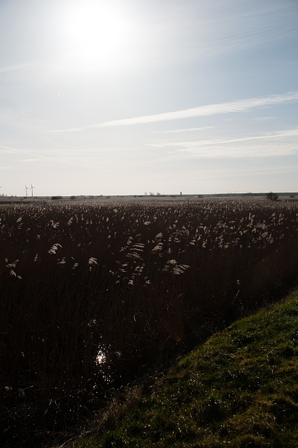 Nordsee-2