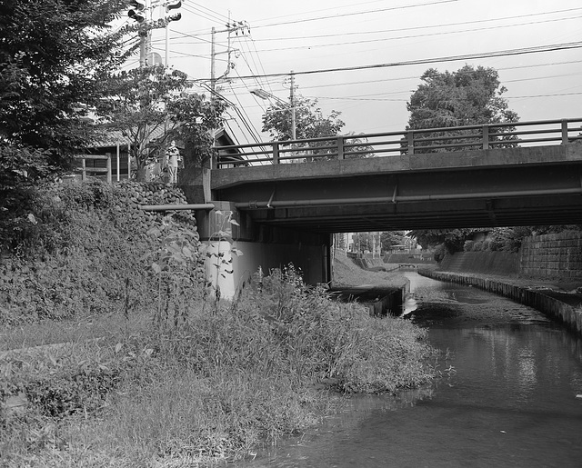 Stream and the bridge