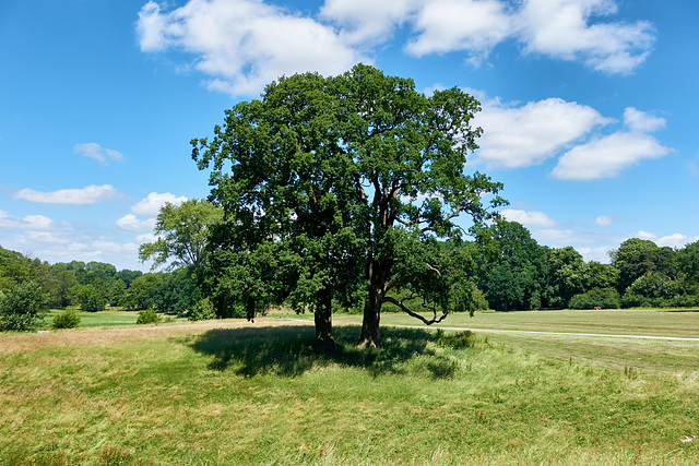 baum-00858-co-10-06-16