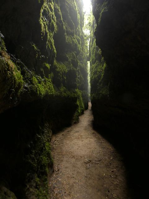 20180720 Rando solo Source du Durzon (132) al