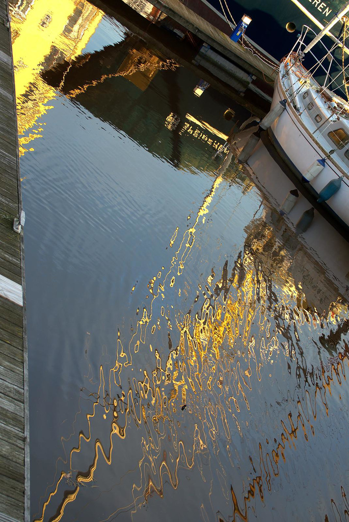 Reflections 6