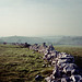 Pathway towards Chee Dale (Scan from 1991)