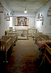 Nursery