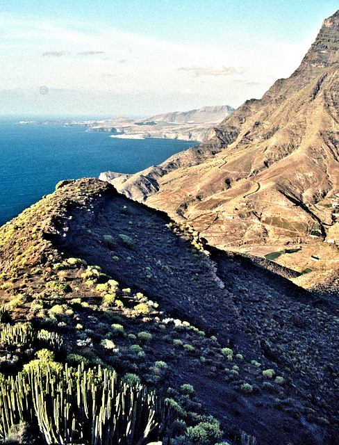 Gran Canaria - Steilküste im Westen (20 years ago