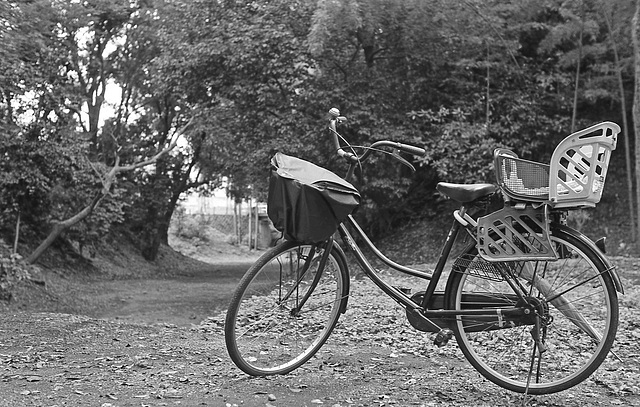 Bicycle for the mother and her kid