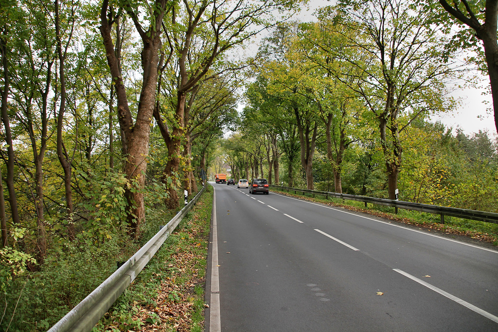 Victorstraße (Waltrop) / 2.11.2017