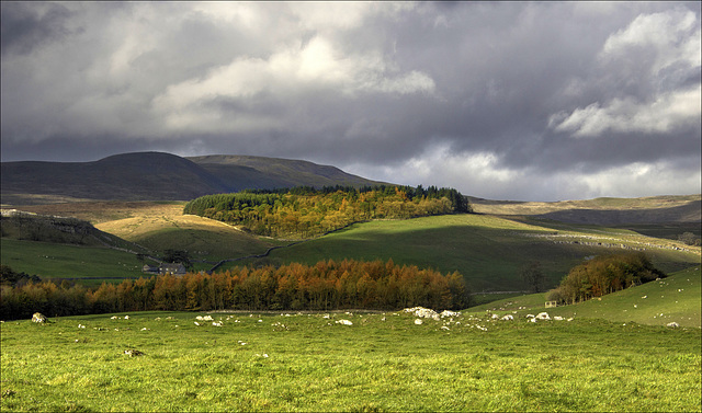 A Dales View