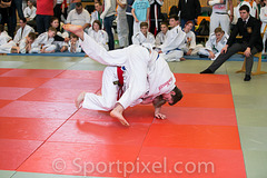 oster-judo-0731 17148422682 o