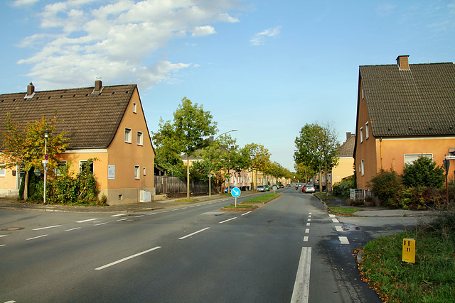 Wittekindstraße (Hamm-Bockum-Hövel) / 13.10.2019