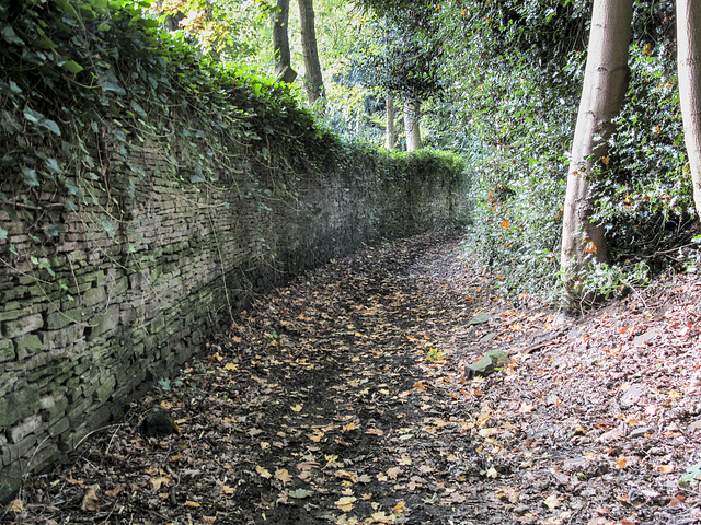 Fenney Lane hollow way 2