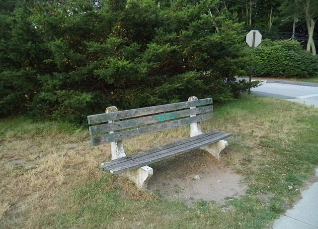 Banc défraîchi / Faded bench