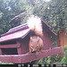 oaw[rsq] - Visit A : 24June2026 {47 of 81+5}
