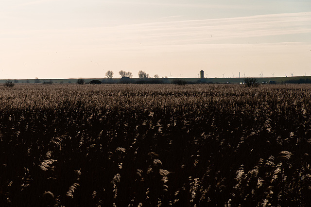 Nordsee-3