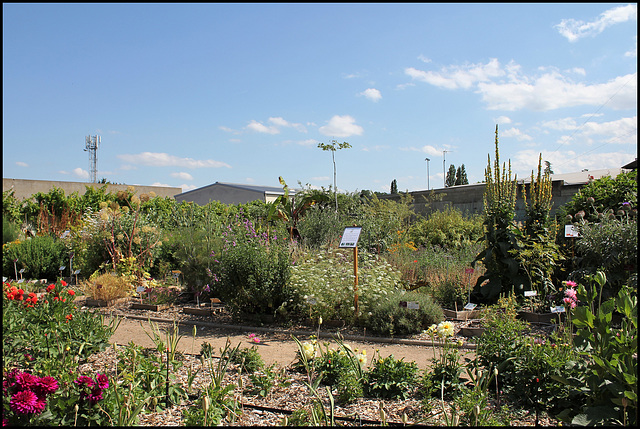 Jardin botanique de La Charme -63 (24)