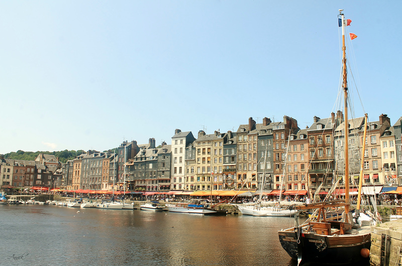 Le vieux port