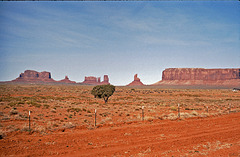 Der Zaun im Monument Valley - Lonely tree