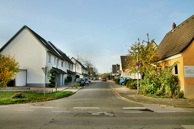 Laakerholzstraße (Hamm-Bockum-Hövel) / 13.10.2019