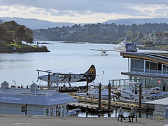 Die Bank auf Vancouver Island