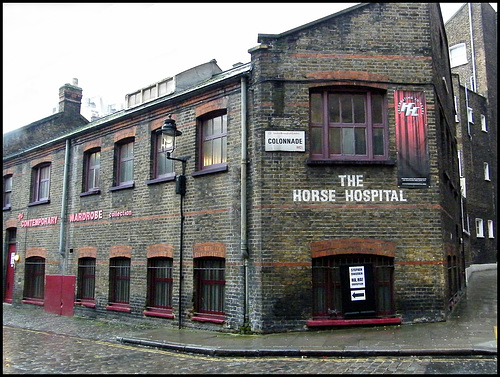 The Horse Hospital