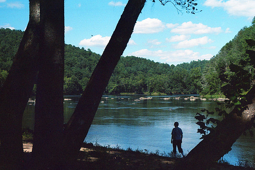 New River through the Trees