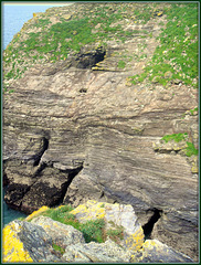 Asparagus Island with its shafts and adits from Samphire Island.