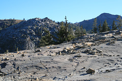 Off the Granite Chief Trail