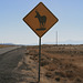 Watch for antelope!