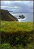 Crane Islands from above Basset Cove.