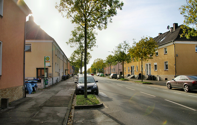 Wittekindstraße (Hamm-Bockum-Hövel) / 13.10.2019