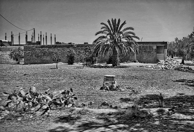 Tunisia Roadside View