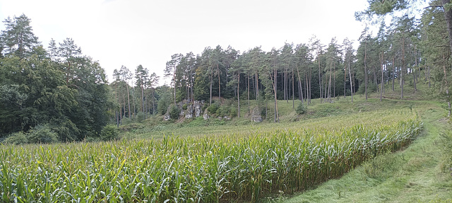 Fränkischer Gebirgsweg Betzenstein - Hormersdorf