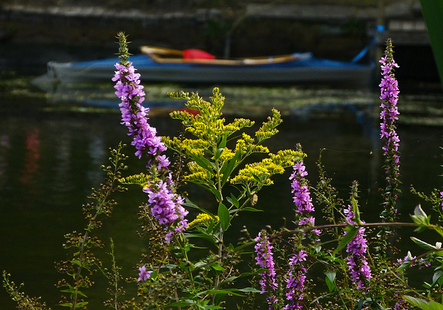 An der Oker im Bürgerpark