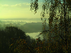 Morgenstimmung (Fensterblick)