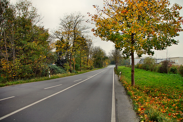 Victorstraße (Waltrop) / 2.11.2017