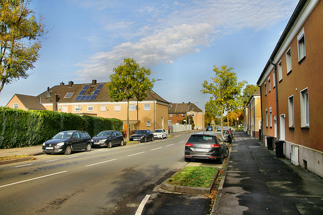 Wittekindstraße (Hamm-Bockum-Hövel) / 13.10.2019