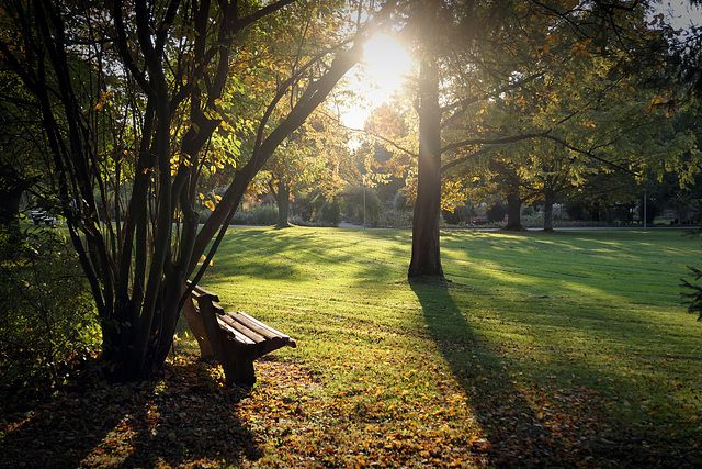 a walk in the park I